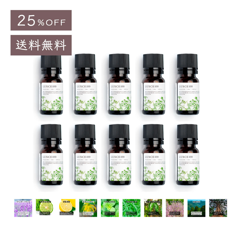 定番&オススメ10点セット【送料無料】