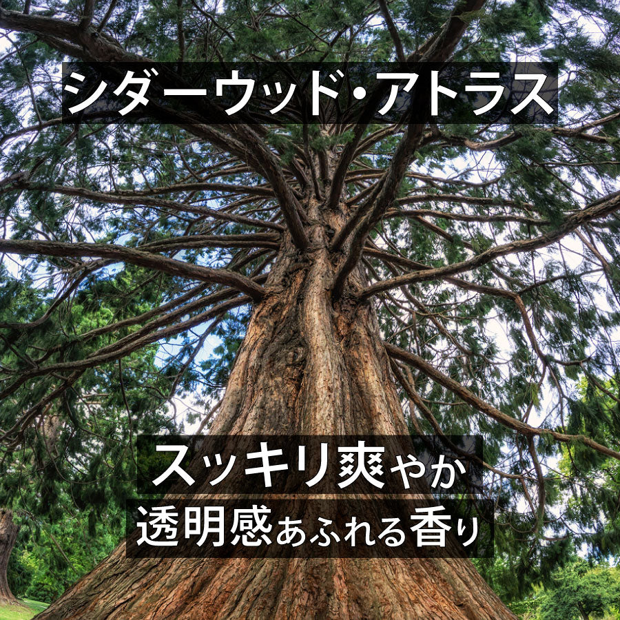 天然成分100%エッセンシャルオイル【2営業日以内に発送】★下部で香りを選択可能(名前順)