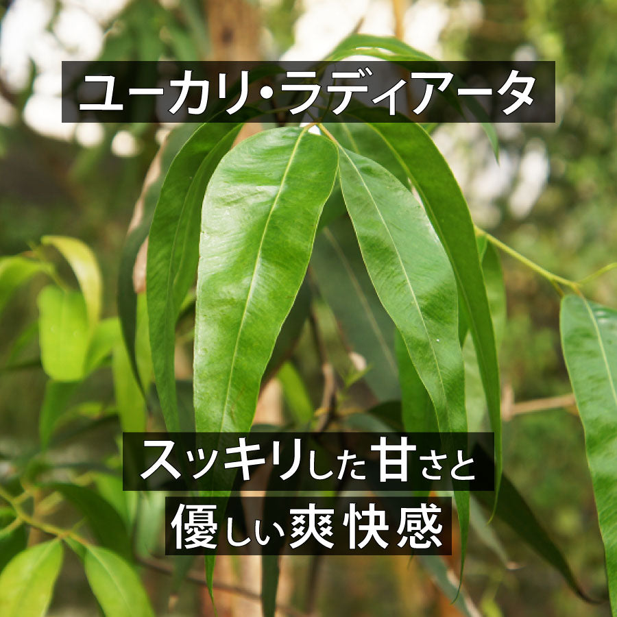 天然成分100%エッセンシャルオイル【2営業日以内に発送】★下部で香りを選択可能(名前順)
