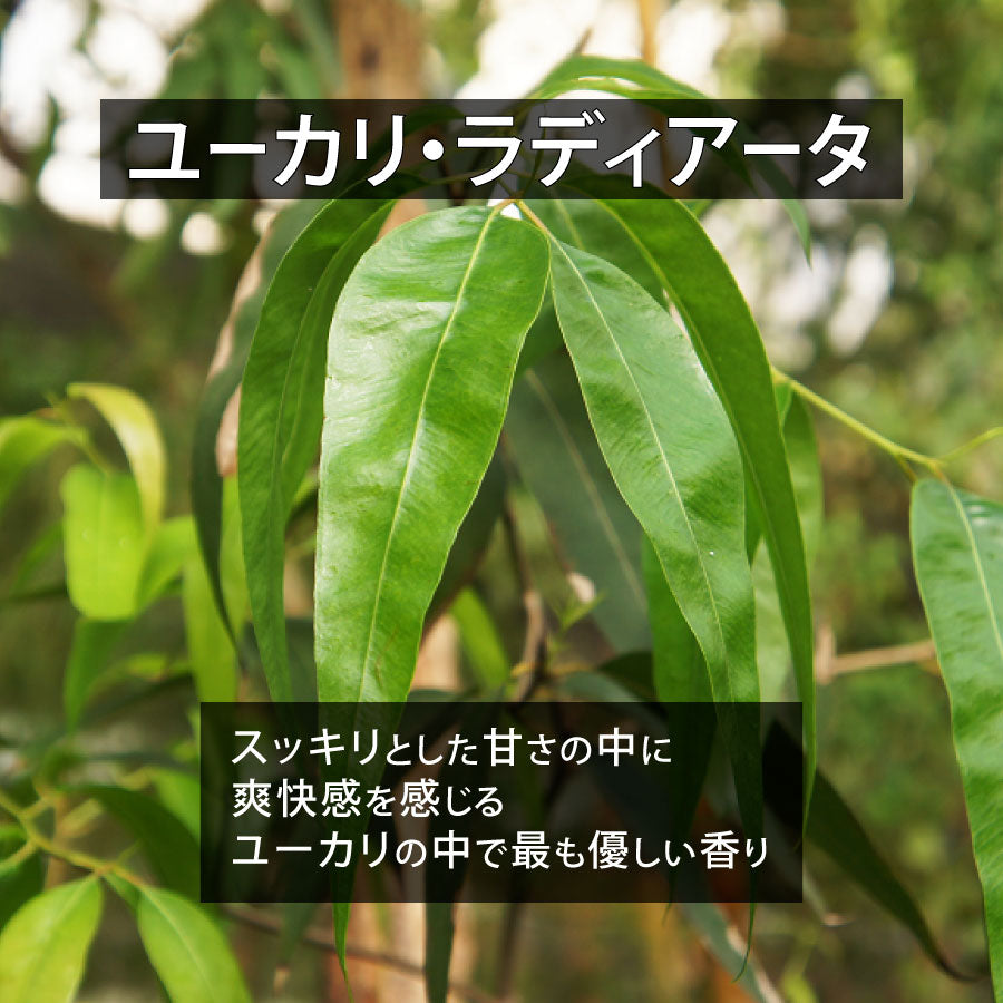 定番&オススメ7点セット【送料無料】