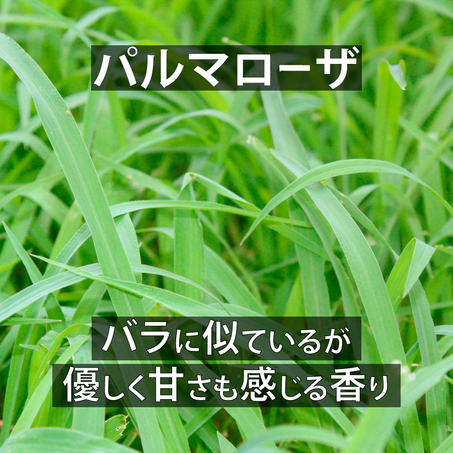 天然成分100%エッセンシャルオイル【2営業日以内に発送】★下部で香りを選択可能(名前順)