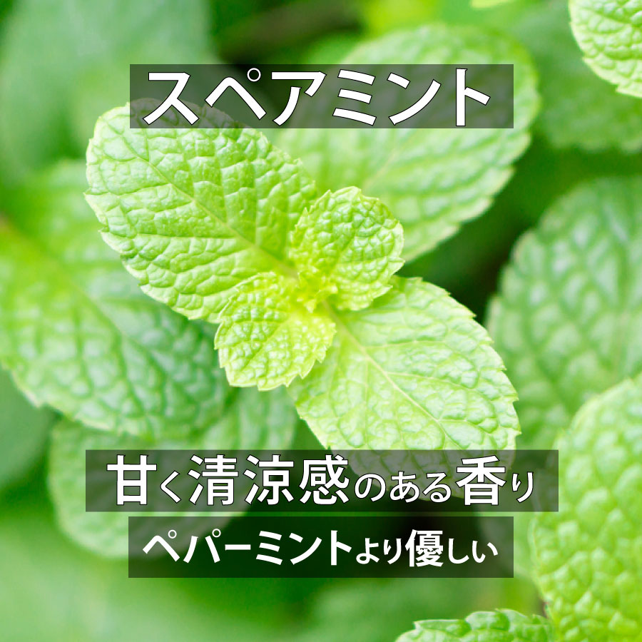 天然成分100%エッセンシャルオイル【2営業日以内に発送】★下部で香りを選択可能(名前順)