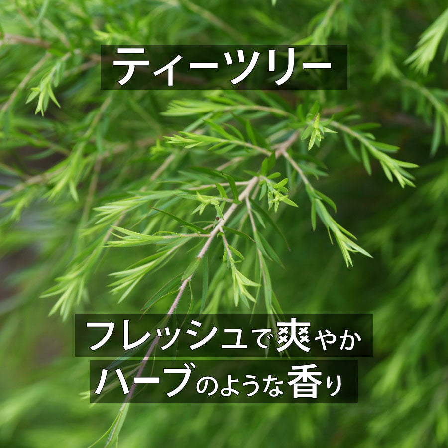 天然成分100%エッセンシャルオイル【2営業日以内に発送】★下部で香りを選択可能(名前順)