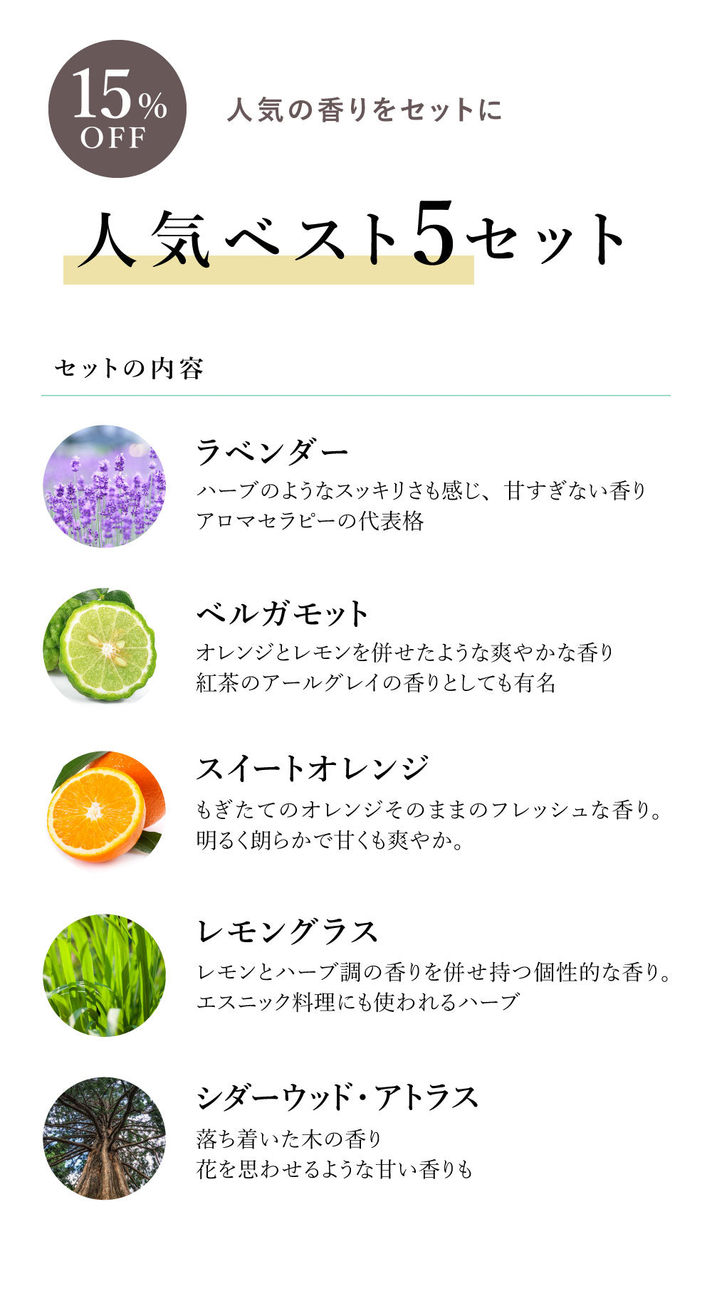 人気ベスト5セット【2営業日以内に発送】【送料無料】