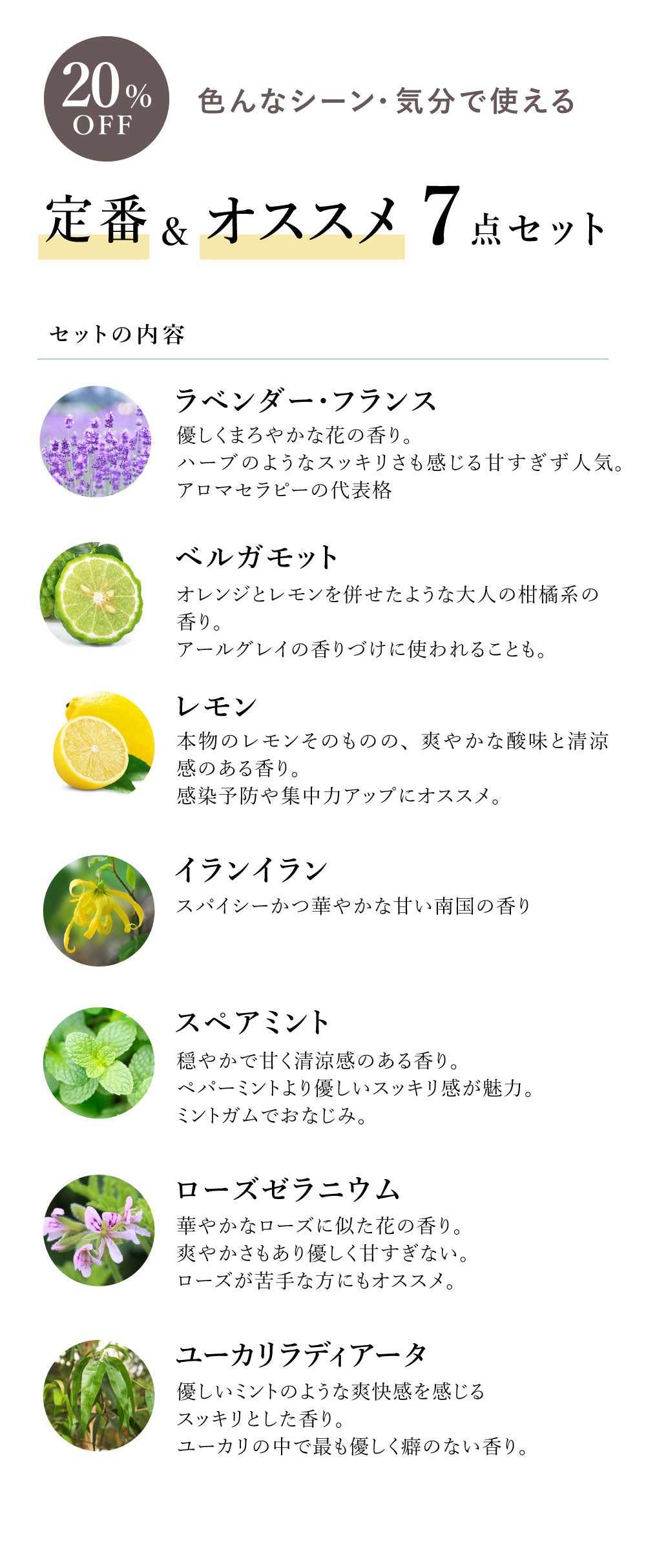 定番&オススメ7点セット【送料無料】