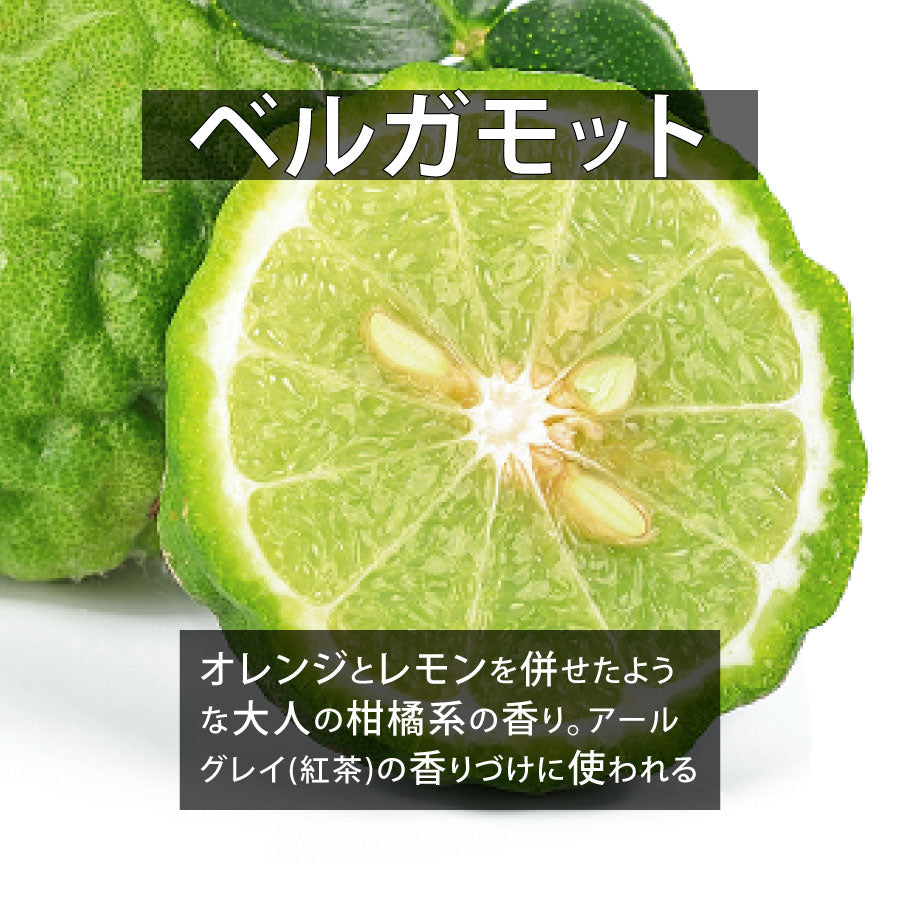 定番＆オススメ7点セット【送料無料】