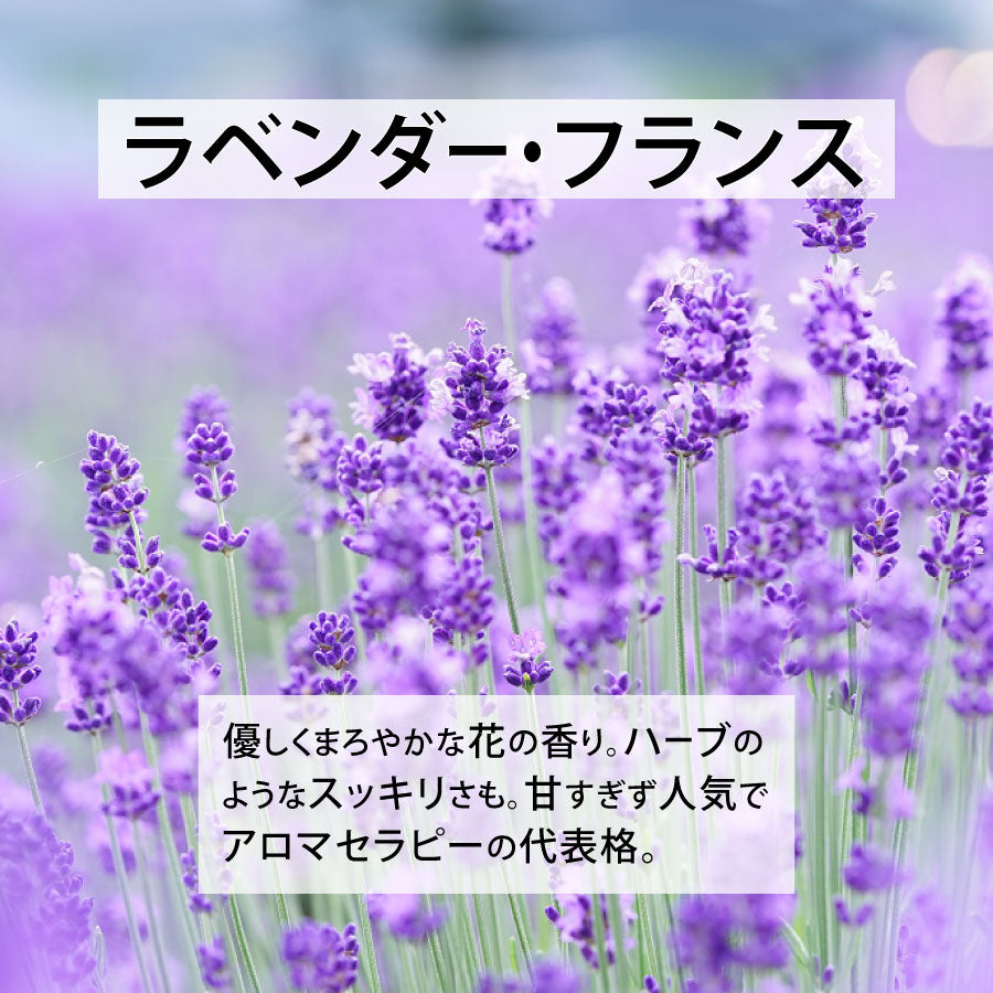 定番＆オススメ10点セット【送料無料】