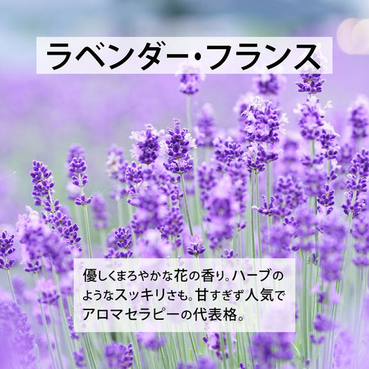 定番＆オススメ10点セット【送料無料】