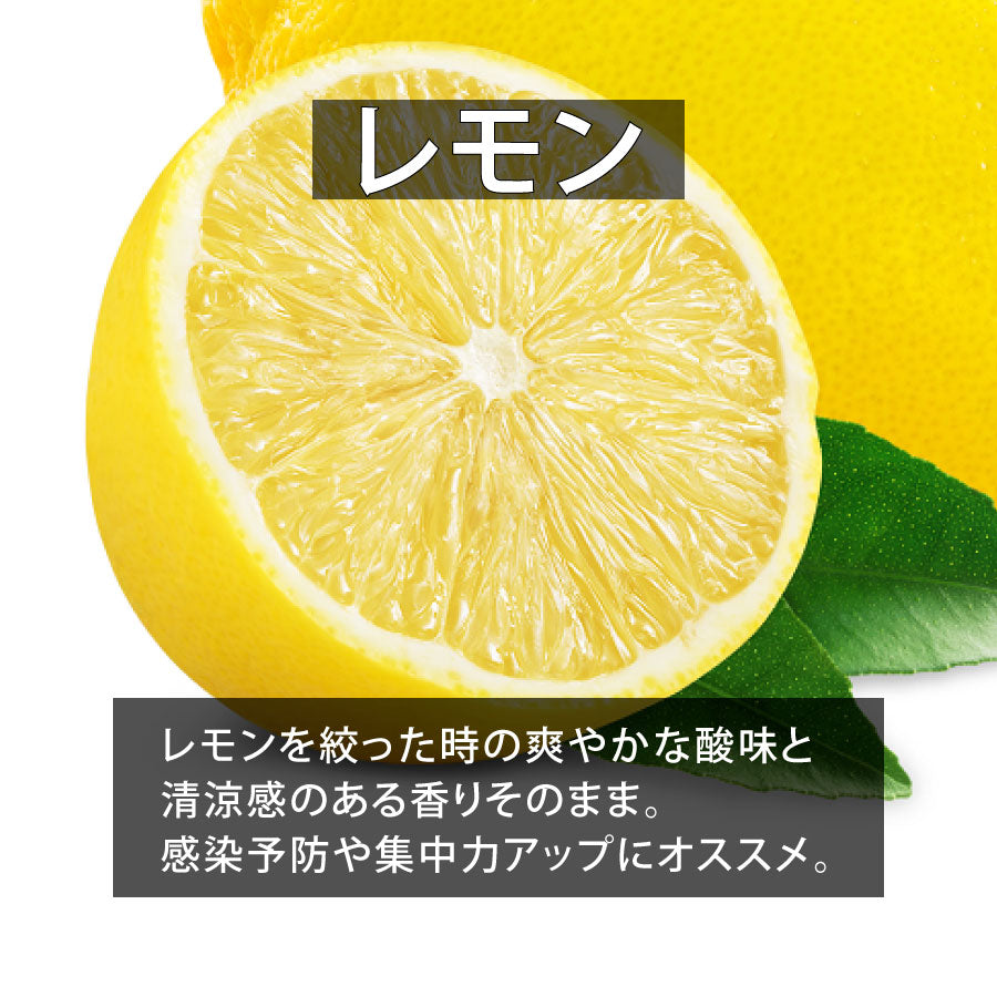 定番＆オススメ10点セット【送料無料】
