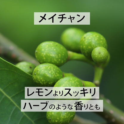 天然成分100%エッセンシャルオイル【2営業日以内に発送】★下部で香りを選択可能（名前順）